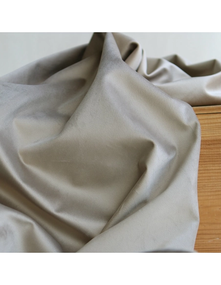 Velours ras coloris champagne