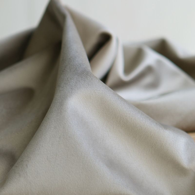 Velours ras coloris champagne