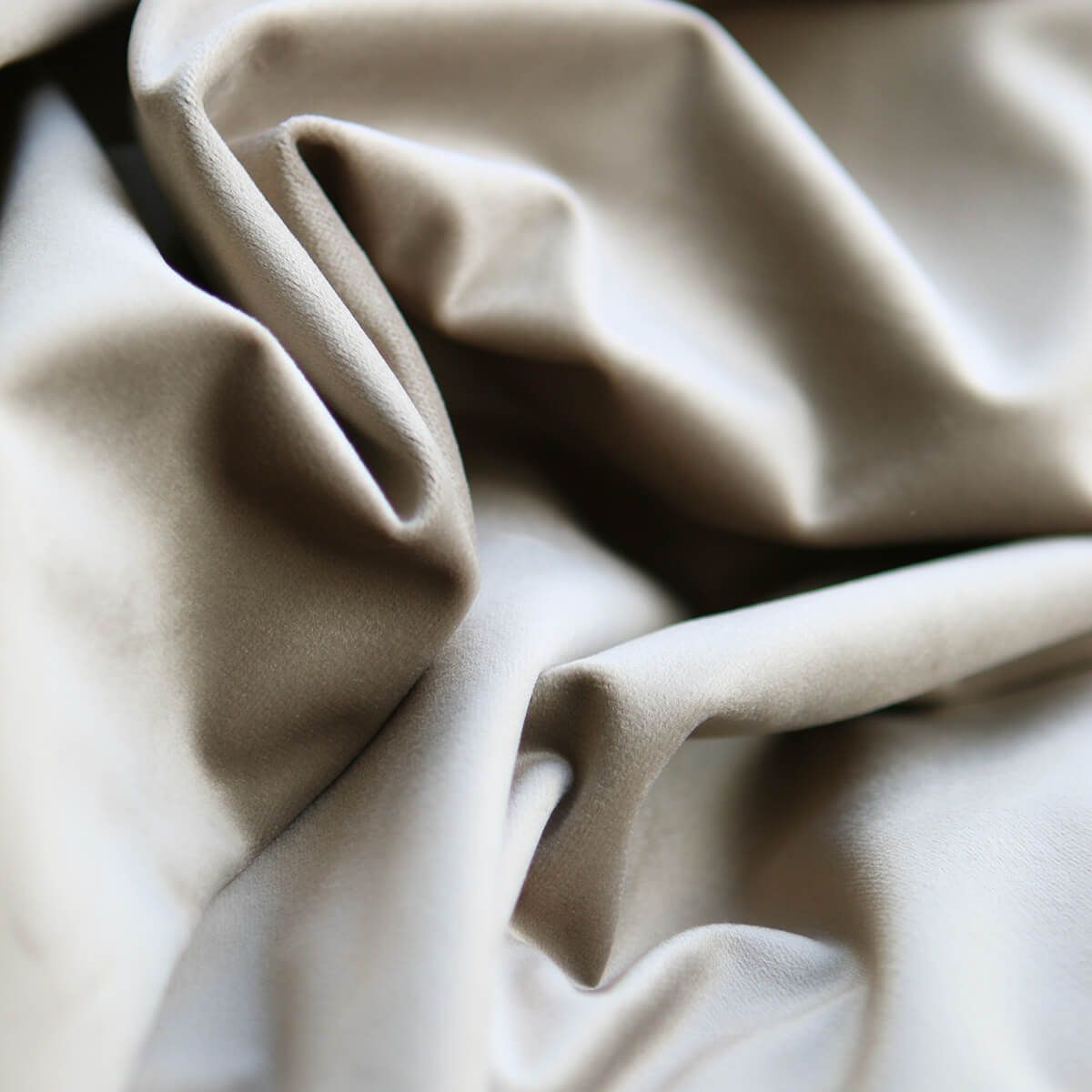 Velours ras coloris champagne