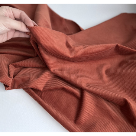 Velours à côtes coton organique coloris roux écureuil  - 2