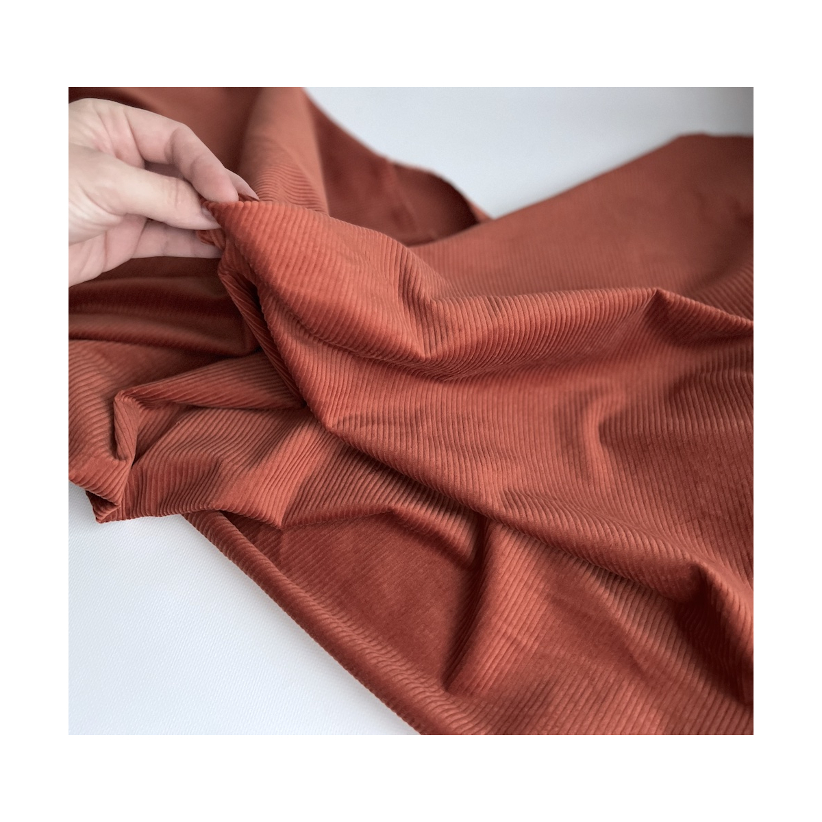 Velours à côtes coton organique coloris roux écureuil  - 2