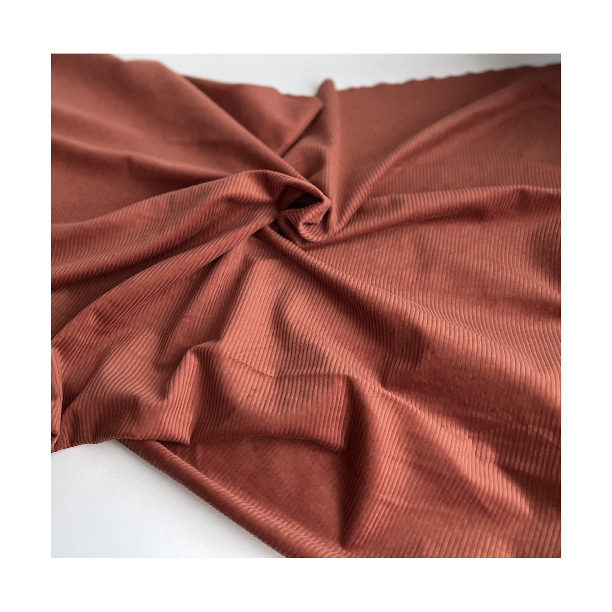 Velours à côtes coton organique coloris roux écureuil  - 4