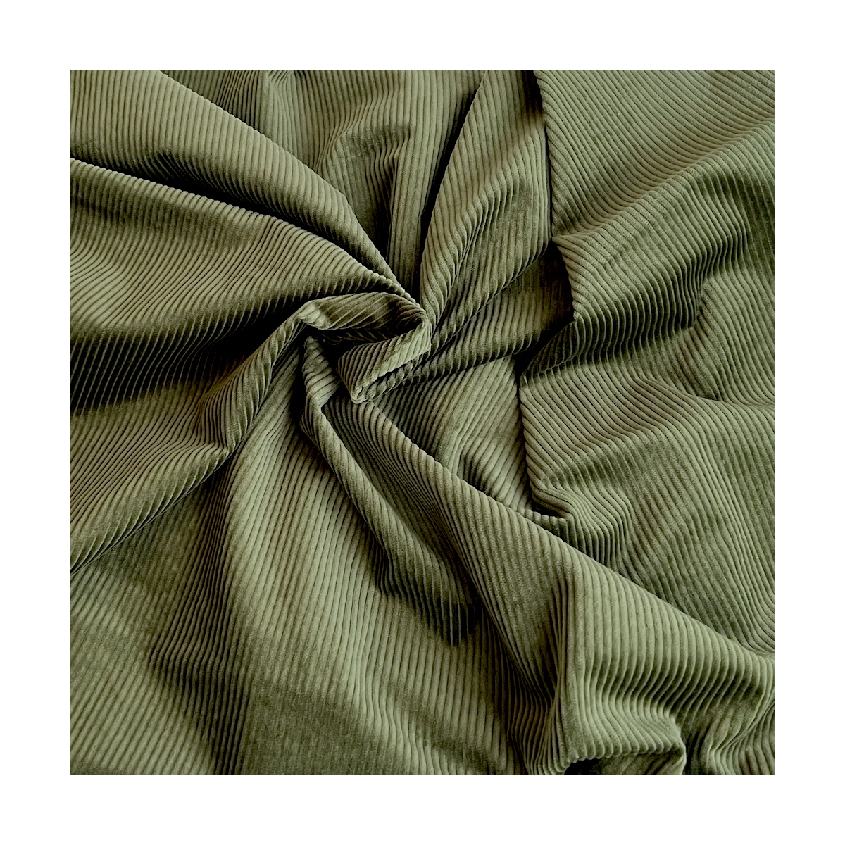 Velours à côtes coton organique coloris vert mousse  - 1