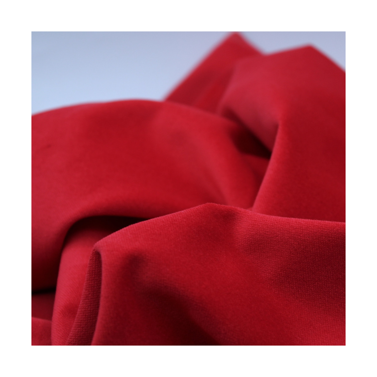 Velours ras coton organique coloris rouge