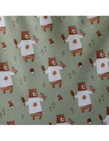 Jersey coton côtes fines à motifs petits ours de la forêt fond vert sauge