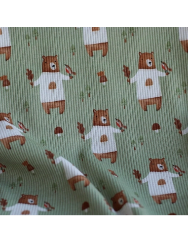 Jersey coton côtes fines à motifs petits ours de la forêt fond vert sauge