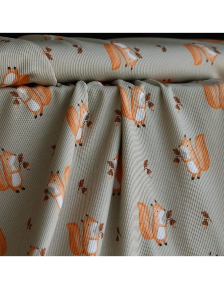 Jersey coton côtes fines à motifs petits écureuils de la forêt fond beige grège
