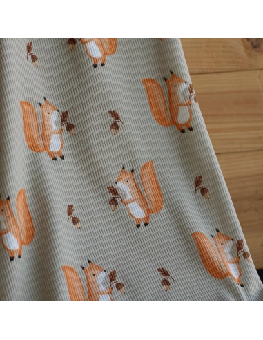 Jersey coton côtes fines à motifs petits écureuils de la forêt fond beige grège