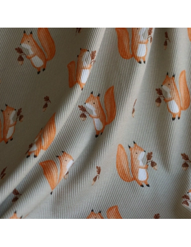 Jersey coton côtes fines à motifs petits écureuils de la forêt fond beige grège
