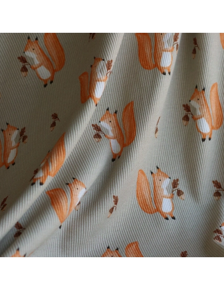 Jersey coton côtes fines à motifs petits écureuils de la forêt fond beige grège