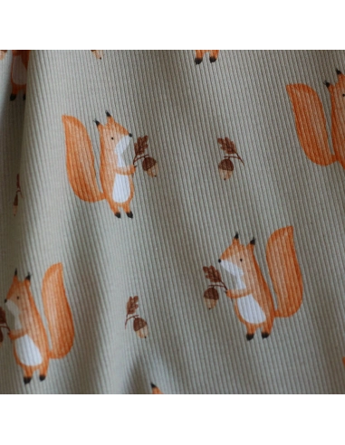 Jersey coton côtes fines à motifs petits écureuils de la forêt fond beige grège