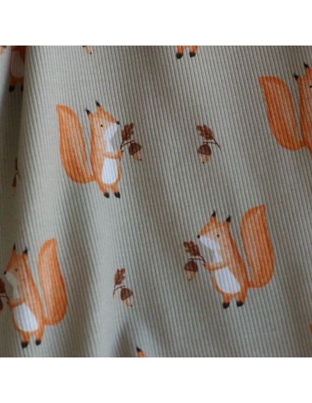 Jersey coton côtes fines à motifs petits écureuils de la forêt fond beige grège