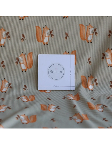 Jersey coton côtes fines à motifs petits écureuils de la forêt fond beige grège