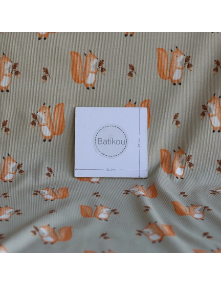 Jersey coton côtes fines à motifs petits écureuils de la forêt fond beige grège