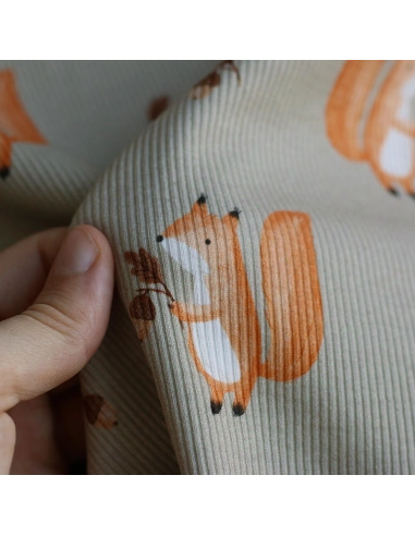 Jersey coton côtes fines à motifs petits écureuils de la forêt fond beige grège