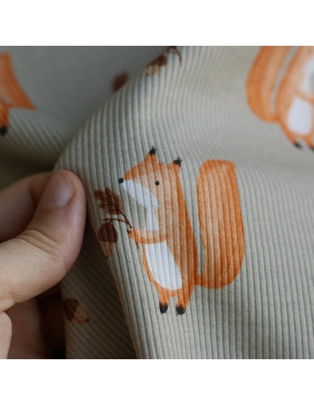 Jersey coton côtes fines à motifs petits écureuils de la forêt fond beige grège