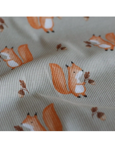 Jersey coton côtes fines à motifs petits écureuils de la forêt fond beige grège