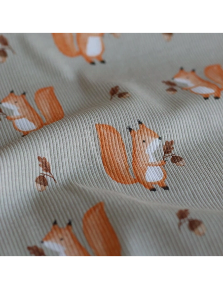 Jersey coton côtes fines à motifs petits écureuils de la forêt fond beige grège