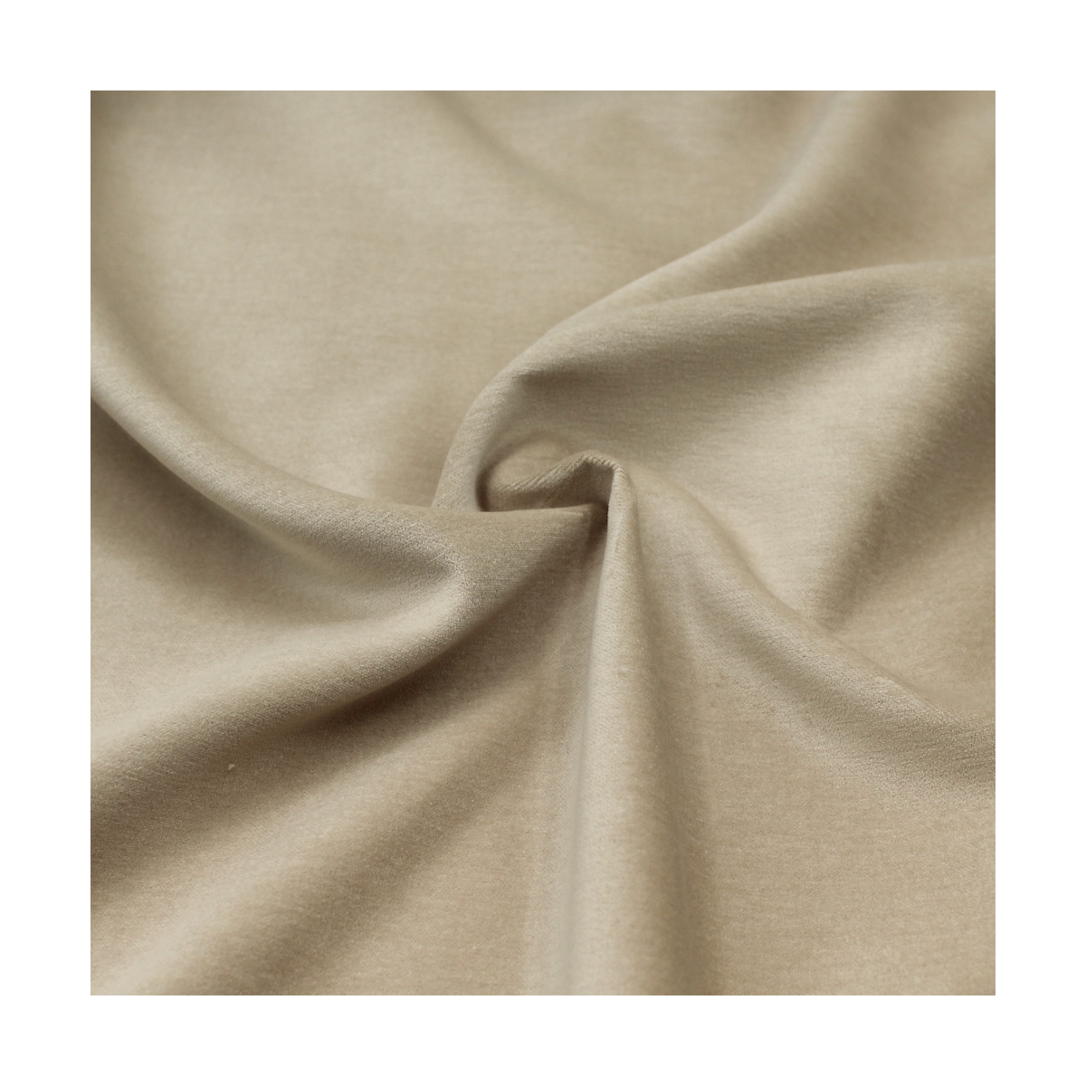 Velours ras coton organique coloris beige