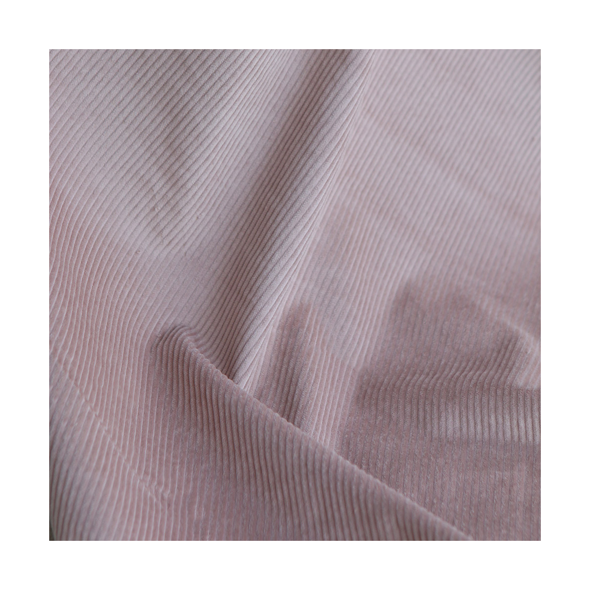 Velours à côtes coton organique coloris rose poudré