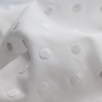 Broderie anglaise coton coloris BLANC