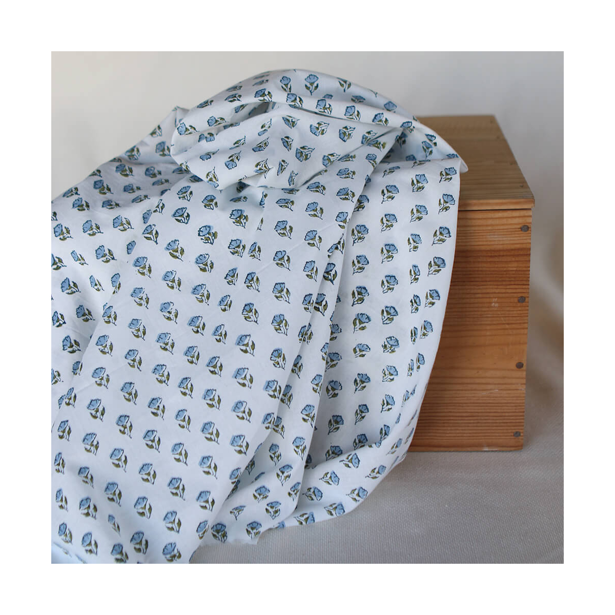 Anika B - Tissu indien coton hand block traditionnel