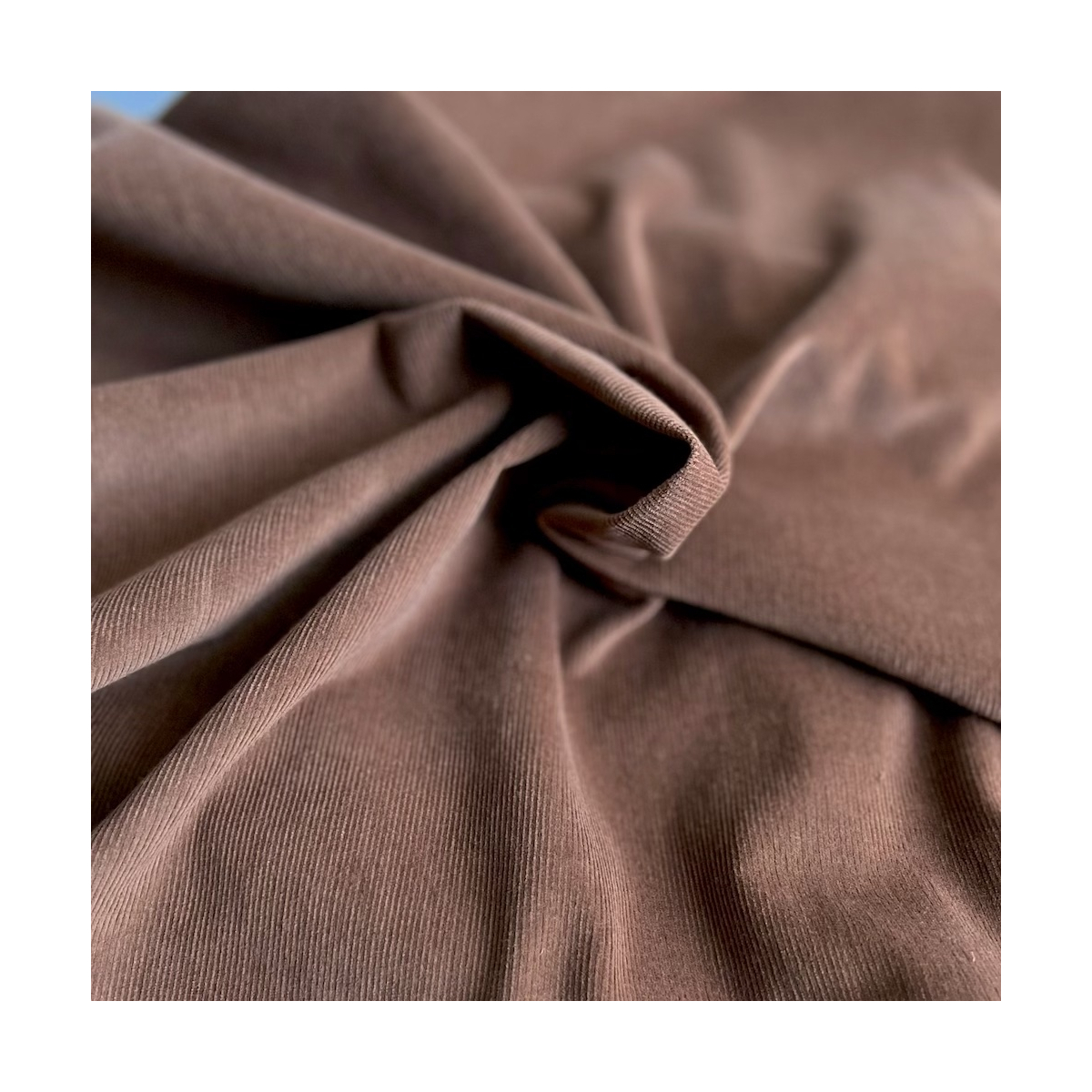 Velours milleraies coton organique coloris Noisette  - 1