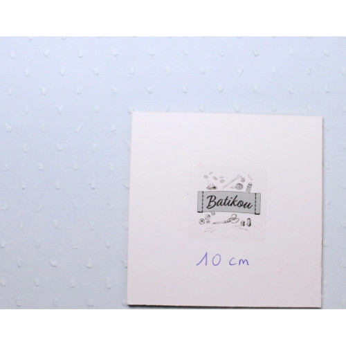 Plumetis de coton coloris Bleu poudré 2