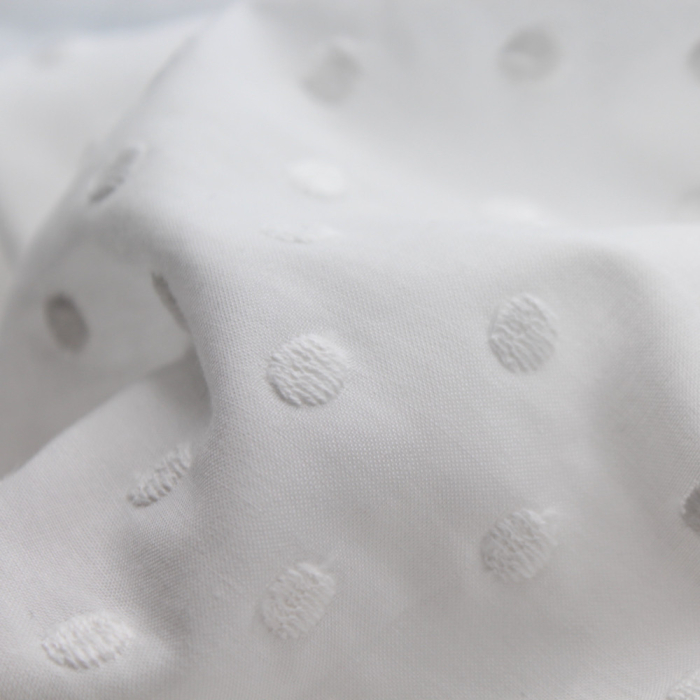 Broderie anglaise coton coloris BLANC