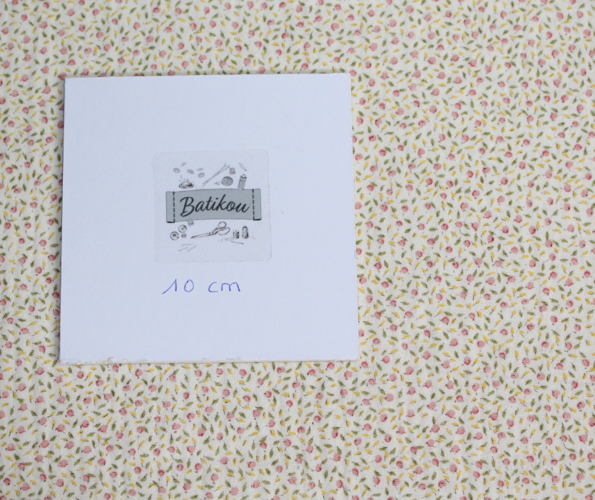 Double gaze de coton BIO écru à motifs fruités