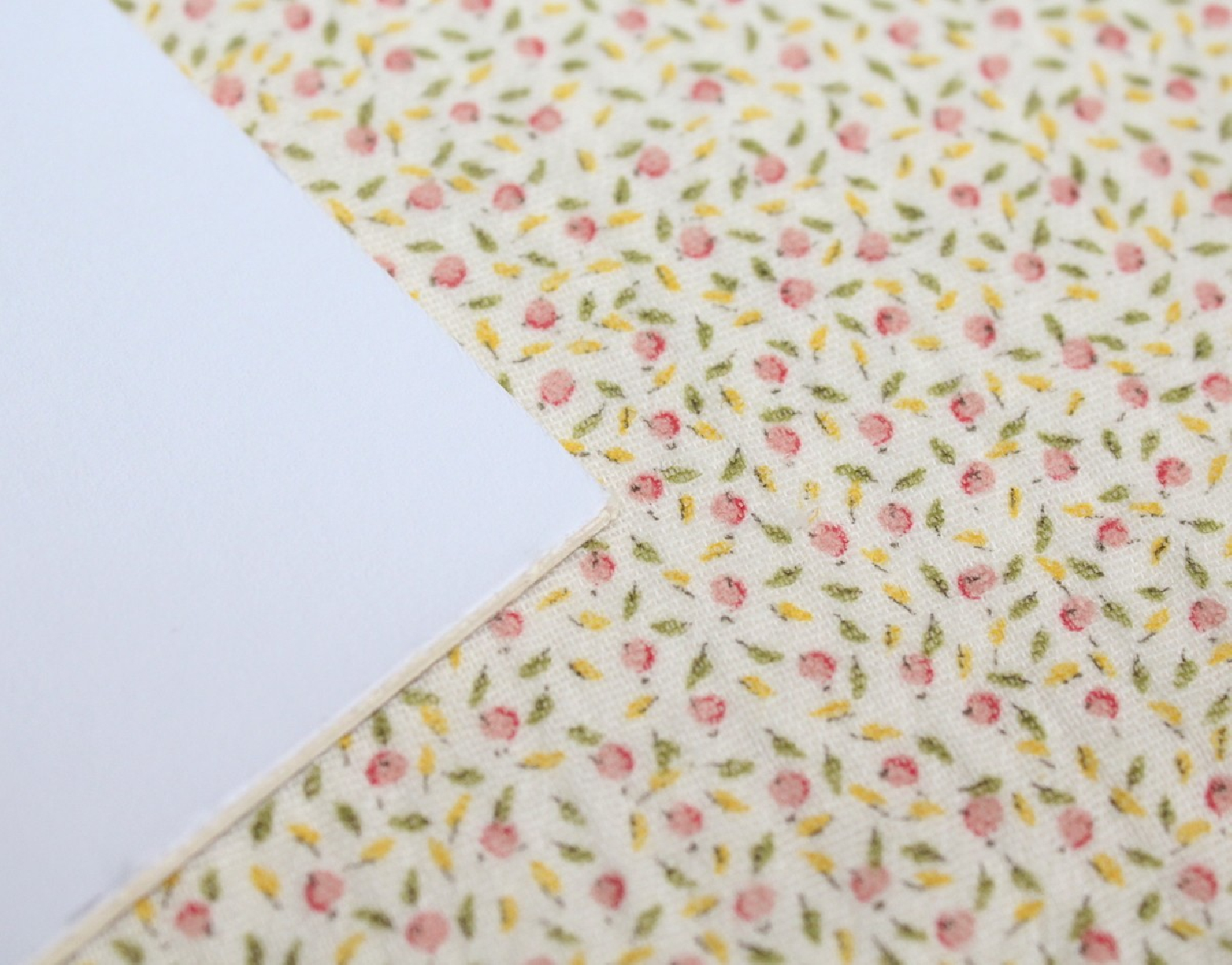 Double gaze de coton BIO écru à motifs fruités