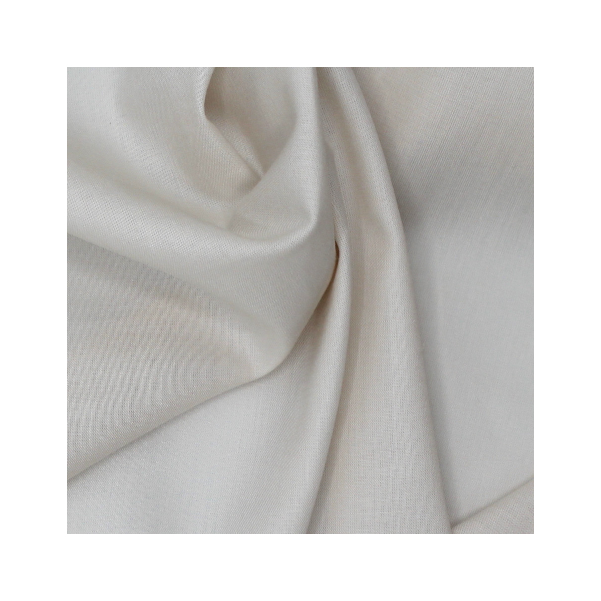Voile de coton organique uni coloris crème Tissus issus de l'agriculture biologique  - 1