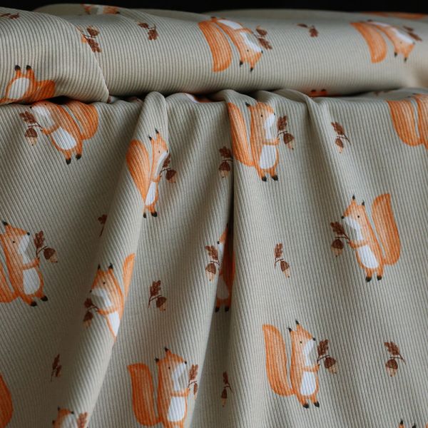 Jersey coton côtes fines à motifs petits écureuils de la forêt fond beige grège