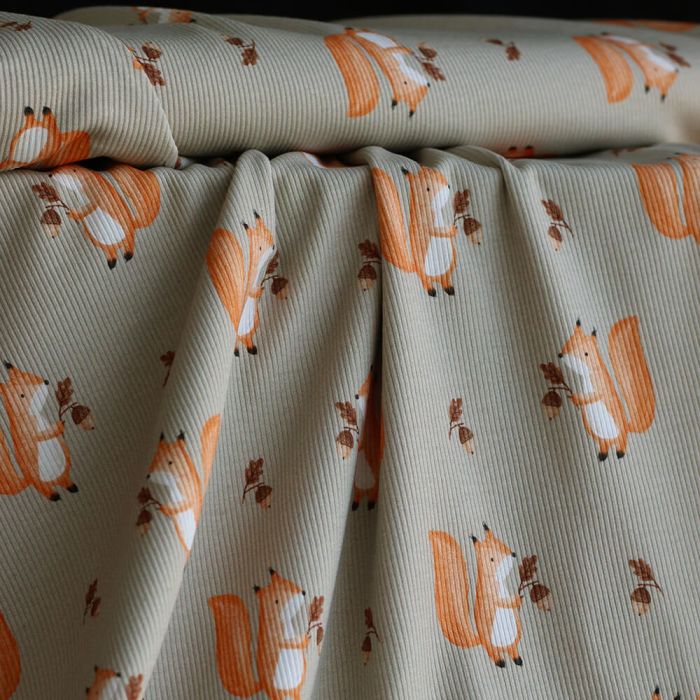 Jersey coton côtes fines à motifs petits écureuils de la forêt fond beige grège