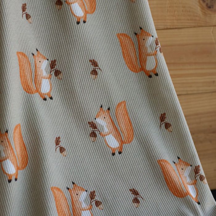 Jersey coton côtes fines à motifs petits écureuils de la forêt fond beige grège