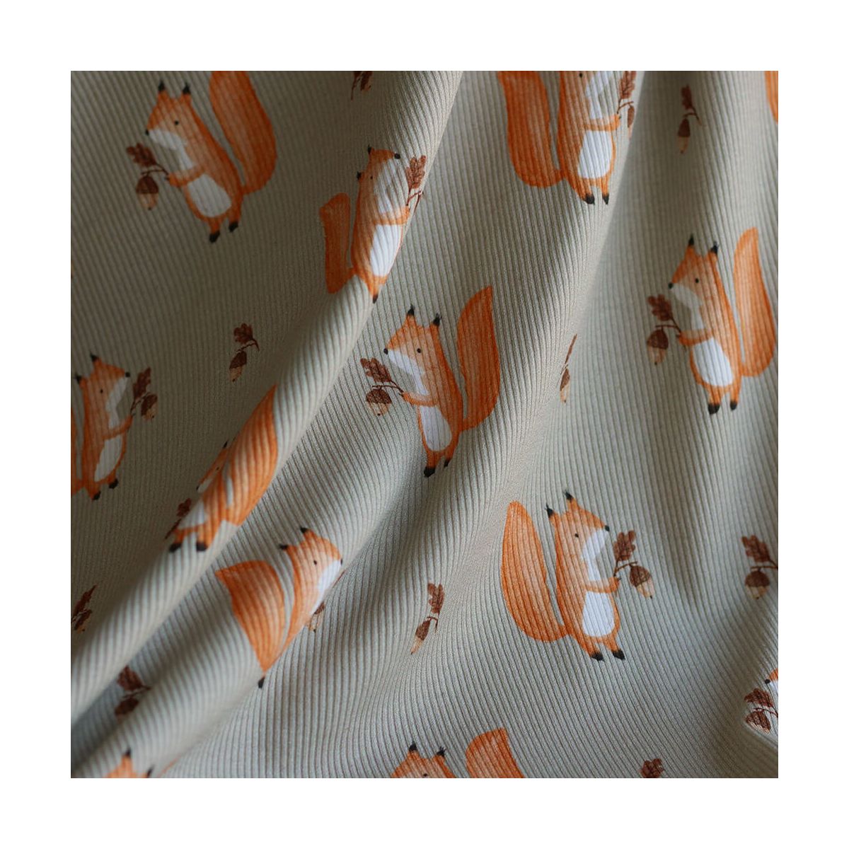 Jersey coton côtes fines à motifs petits écureuils de la forêt fond beige grège