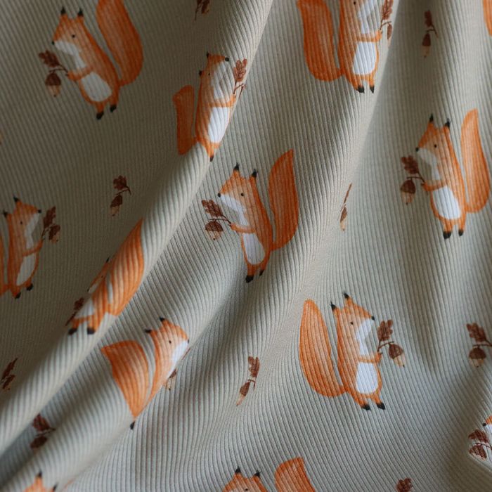 Jersey coton côtes fines à motifs petits écureuils de la forêt fond beige grège