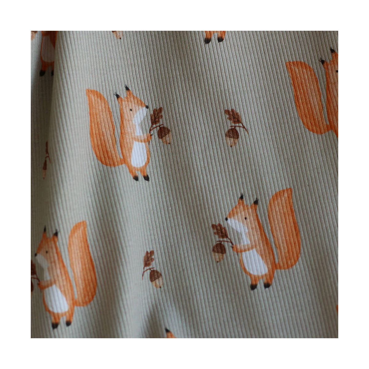 Jersey coton côtes fines à motifs petits écureuils de la forêt fond beige grège