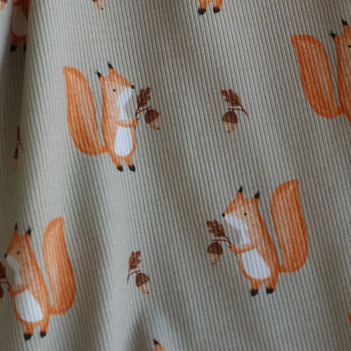 Jersey coton côtes fines à motifs petits écureuils de la forêt fond beige grège