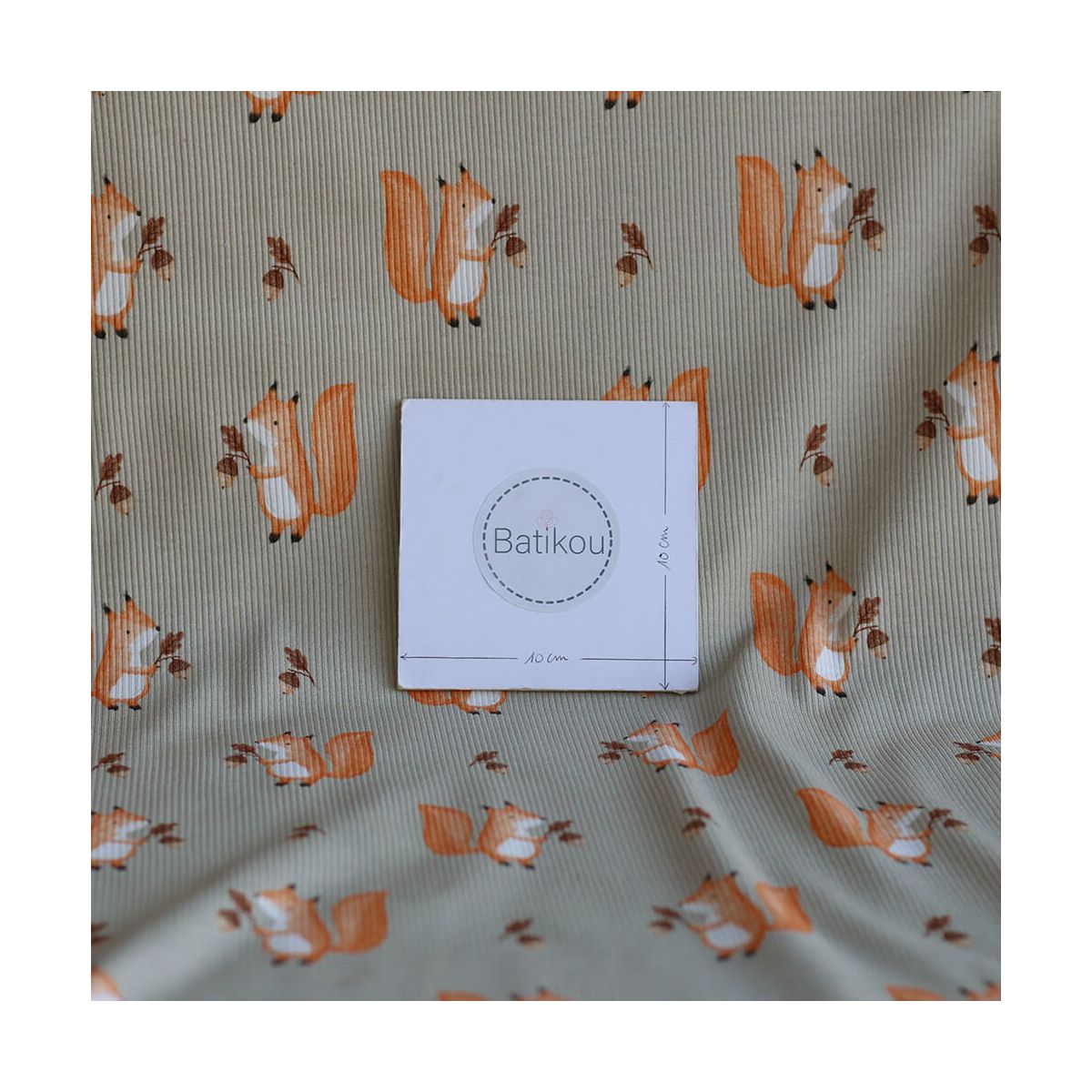 Jersey coton côtes fines à motifs petits écureuils de la forêt fond beige grège