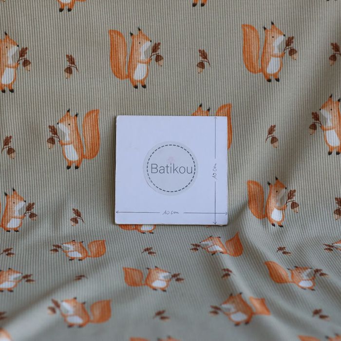 Jersey coton côtes fines à motifs petits écureuils de la forêt fond beige grège