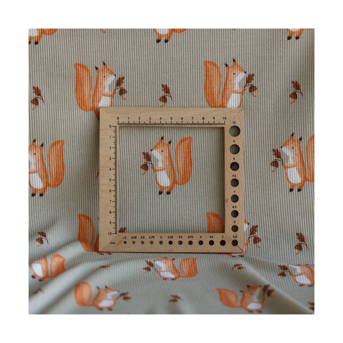 Jersey coton côtes fines à motifs petits écureuils de la forêt fond beige grège