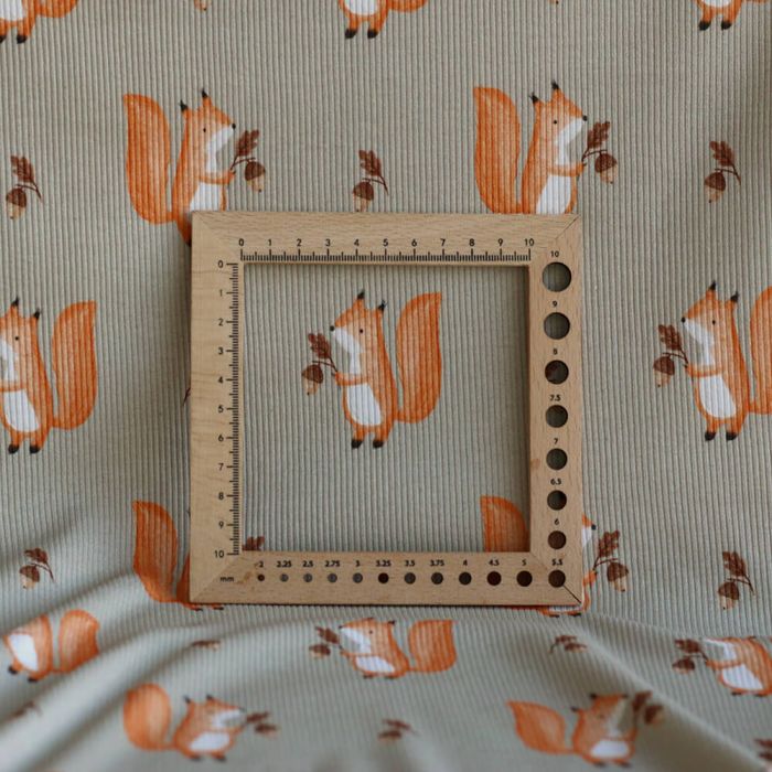 Jersey coton côtes fines à motifs petits écureuils de la forêt fond beige grège