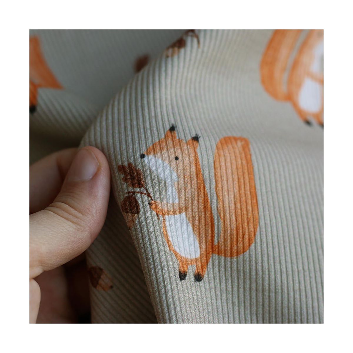 Jersey coton côtes fines à motifs petits écureuils de la forêt fond beige grège