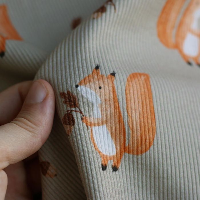 Jersey coton côtes fines à motifs petits écureuils de la forêt fond beige grège