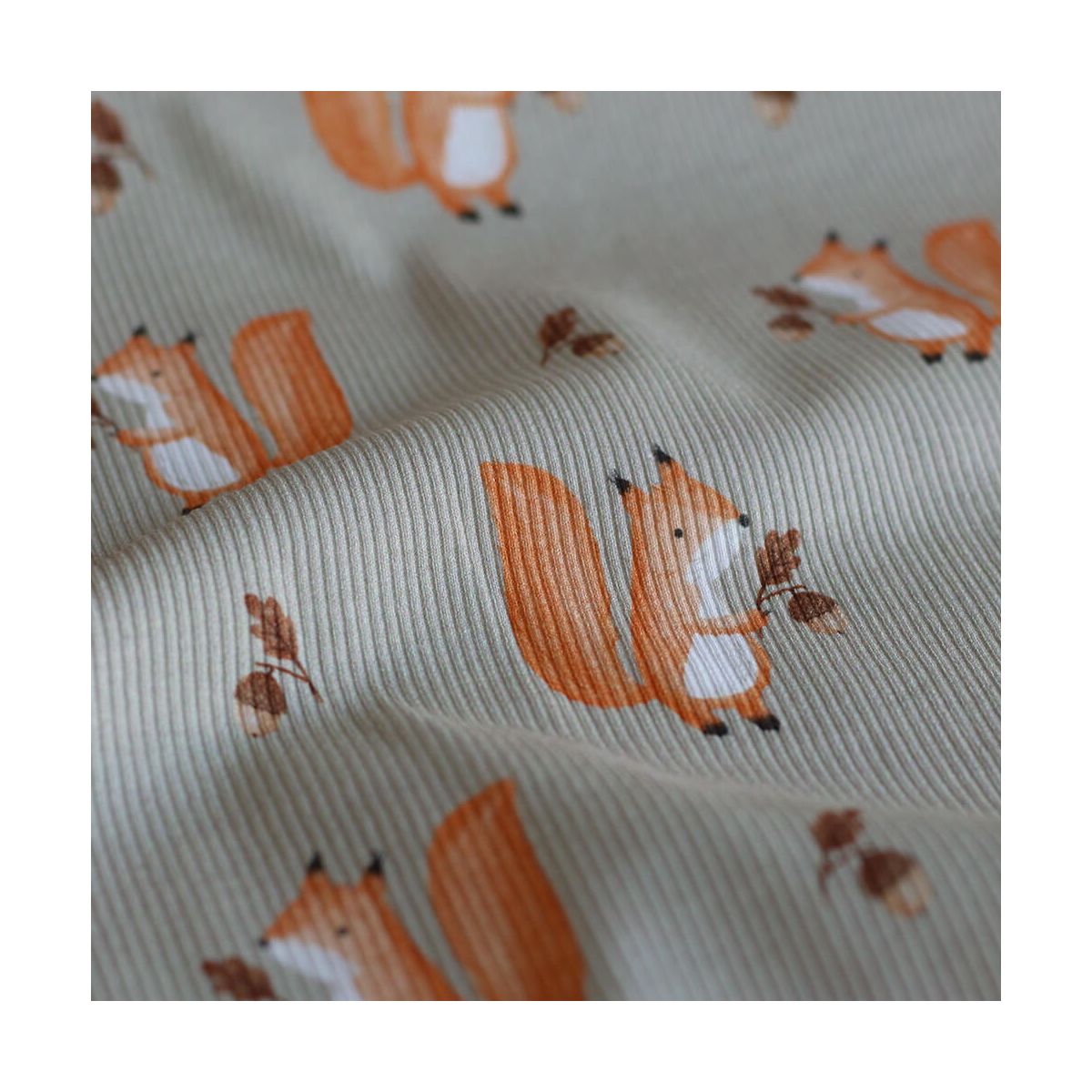 Jersey coton côtes fines à motifs petits écureuils de la forêt fond beige grège