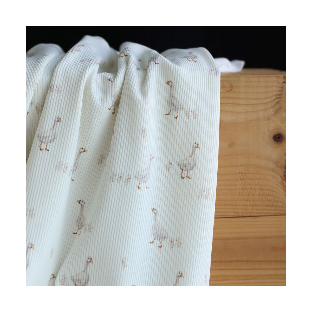 Jersey coton côtes fines à motifs petites oies fond lait