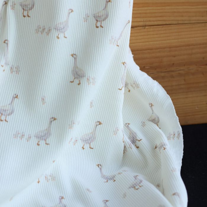 Jersey coton côtes fines à motifs petites oies fond lait
