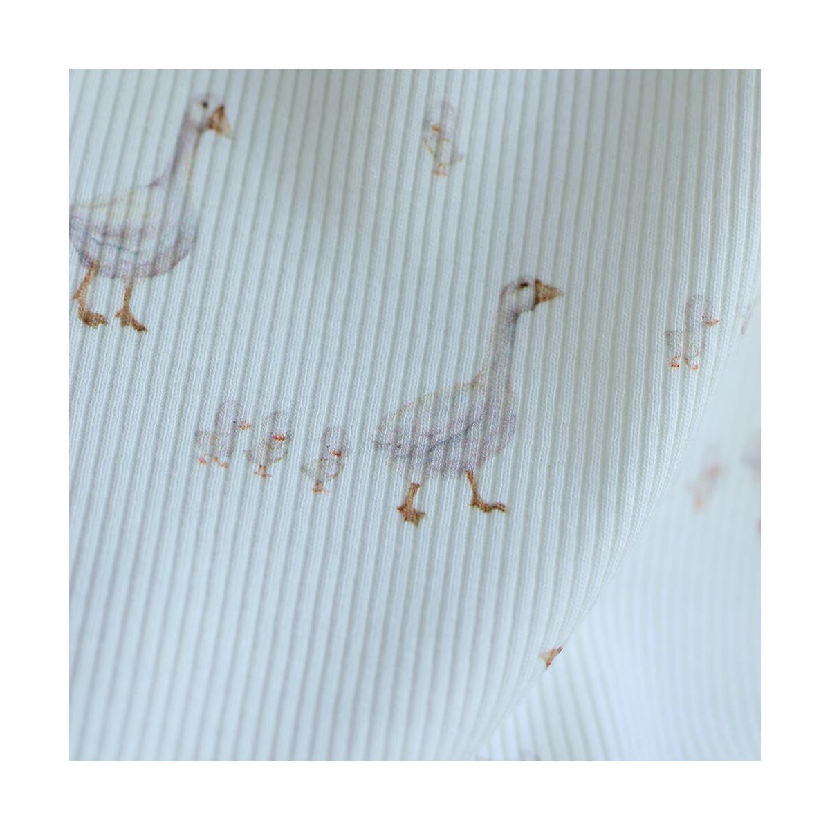 Jersey coton côtes fines à motifs petites oies fond lait