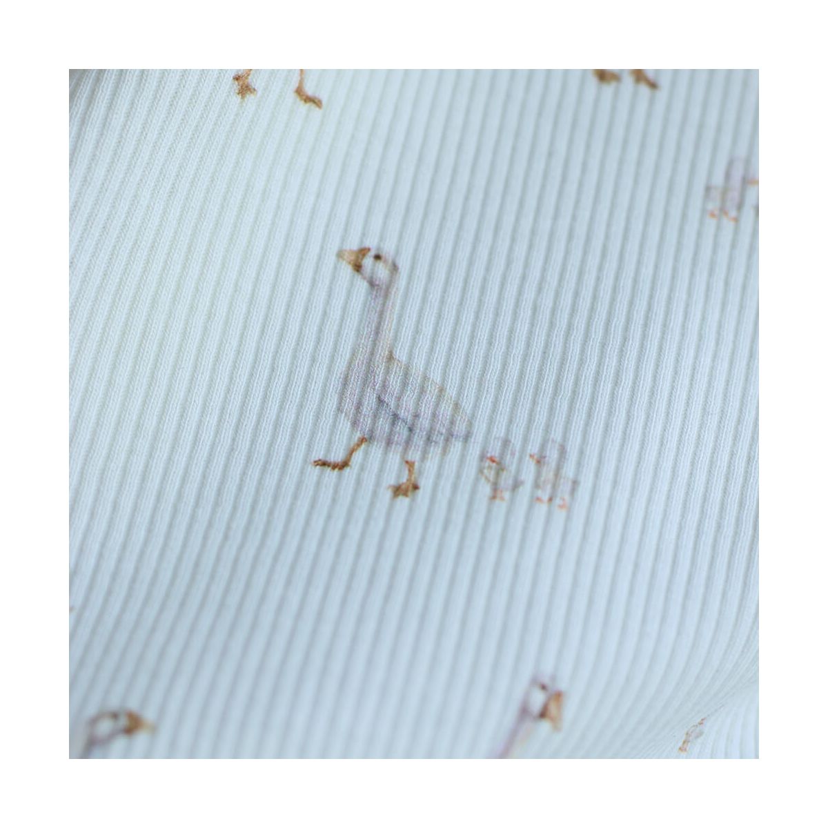 Jersey coton côtes fines à motifs petites oies fond lait